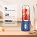 SMALL PORTABLE JUICER Simplyfiy Home