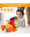 Multifunctional Musical Hermit Crab Baby Toy Simplyfiy Home